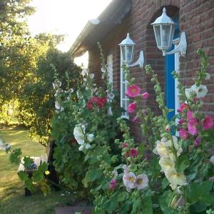 un jardín de flores frente a una casa en Haus-Wolfram-App-Wilhelmine en Morsum