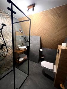 a bathroom with a shower and a toilet and a sink at Rozeta in Witów