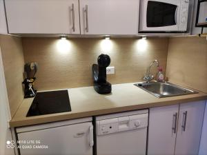 - un comptoir de cuisine avec évier et four micro-ondes dans l'établissement RISOUL Altaïr Jolie T2 confortable skis aux pieds, à Risoul