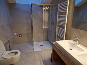 a bathroom with a shower and a toilet and a sink at Apartment Aghel in Ortisei