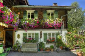ein Haus mit vielen Blumen darauf in der Unterkunft Landhaus Brif in Schruns-Tschagguns