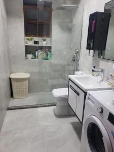 uma casa de banho com um WC e uma máquina de lavar roupa. em Tuana's Apartment em Shkodër