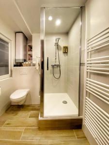 ein Bad mit einer Dusche und einem WC in der Unterkunft DELUX Le MARQUIS in Saverne