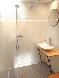 a bathroom with a shower with a sink and a mirror at Vrijstaande vakantiebungalow met optimale privacy!! in Rekem