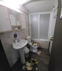 Ένα μπάνιο στο Hostal Paradise Blue +25 φωτογραφίες