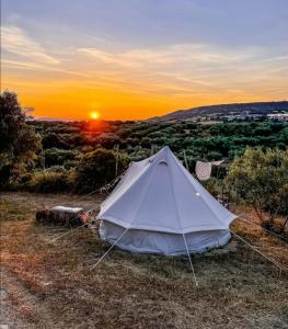 a white tent in a field with the sunset in the background at Sa Mola Experience TENDA in Escolca