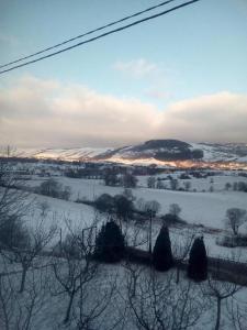 a snow covered field with trees and a mountain at Apartman SM IK 1 in Tomislavgrad