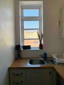 a kitchen counter with a sink and a window at Linnet House - Relaxing - Leafy - Bright 2 Bedroom Apt in Liverpool
