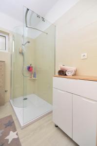 Et badeværelse på Apartments Dvor - ap4, ap5, ap6