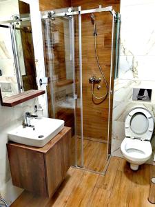 Baðherbergi á Borovi 3, apartman 3