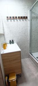 un baño con lavabo y ducha en L'étoile du RDC, en Gravelines 11 fotos más