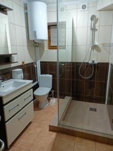 ein Bad mit einer Dusche, einem WC und einem Waschbecken in der Unterkunft Brooklyn 2 in Jablunyzja