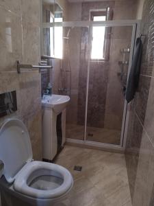 La salle de bains est pourvue d'une douche, de toilettes et d'un lavabo. dans l'établissement Heart of Pernik apartment, à Pernik