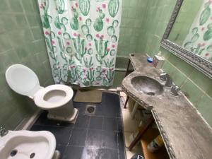 ein Bad mit einem Waschbecken und einem WC in der Unterkunft Depto a una cuadra de costanera Gualeguaychú hta 4 personas in Gualeguaychú