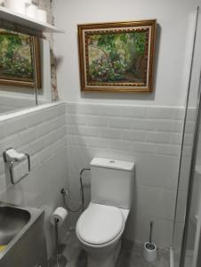 a bathroom with a toilet and a painting on the wall at La Fabriqueta Suite in Ríudecañas