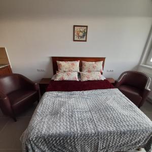 1 dormitorio con 1 cama y 2 sillas en Demizson Panzió, en Kehidakustány