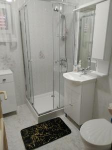a bathroom with a shower and a toilet and a sink at Üttörő út 177 B in Balatonfenyves +8 photos