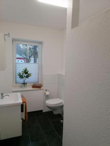 ein Bad mit einem weißen WC und einem Fenster in der Unterkunft Ferienwohnung I Sarrebriese in Bottmersdorf