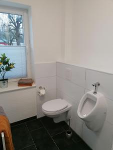 a bathroom with a toilet and a urinal and a window at Ferienwohnung I Sarrebriese in Bottmersdorf