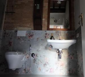 a bathroom with a sink and a toilet at Agriturismo La Casetta del Sole in Villastrada