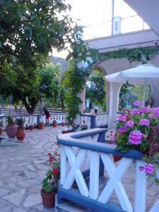 Zahrada ubytování Alexandra Studios