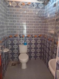Ramy Heissa Nubian house في أسوان: حمام صغير مع مرحاض ومغسلة