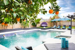 uma piscina com cadeiras e uma laranjeira em Lazy Palms em Tempe