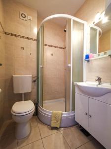 a bathroom with a toilet and a shower and a sink at Molo Lozna Apartments in Postira +21 photos