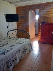 Ліжко або ліжка в номері studio dans un écrin vert