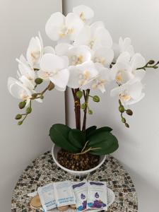 a white orchid in a vase on a table at Casa Blanca in Seville