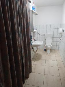 ein Bad mit einem WC und einem Waschbecken in der Unterkunft Apartman SM IK in Tomislavgrad