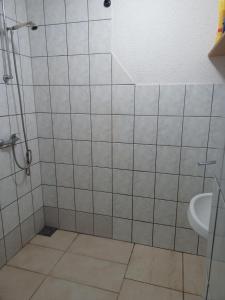 a bathroom with a shower and a sink at Apartman SM IK in Tomislavgrad