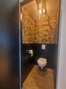 a bathroom with a toilet and a painting on the wall at Beautiful Bruges in Zeebrugge +16 photos