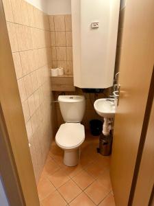 małą łazienkę z toaletą i umywalką w obiekcie Apartmán 25 Magura, Donovaly w mieście Donovaly