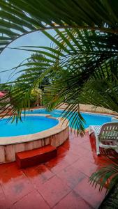 a swimming pool with a bench and a palm tree at Yvyra Lodge in San Ignacio