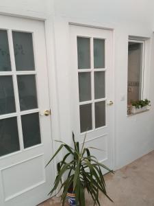 a white garage door with a plant next to it at La casita del vino in Socuéllamos