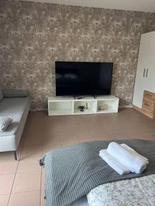 a living room with a flat screen tv and a couch at Rheinview Sunset Apartment Urbar in Urbar-Mayen-Koblenz +40 photos