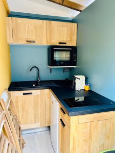eine Küche mit einer Spüle und einer Mikrowelle in der Unterkunft FABULEUX STUDIO Centre ville Fort De France Martinique CAPITALE in Fort-de-France