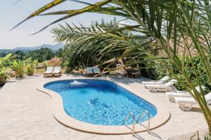 a swimming pool with chairs and a palm tree at Can Pep Gibert in Ibiza Town