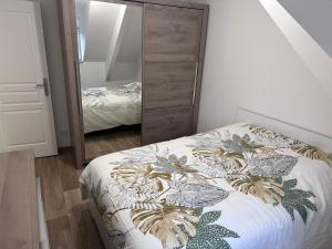 een slaapkamer met een bed en een grote spiegel bij Charmant Maison de ville in Le Petit-Quevilly