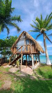 une cabane sur la plage avec un palmier dans l'établissement Cayuco Maya, à Bacalar