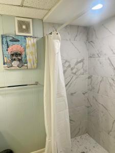 baño con ducha con cortina blanca en 1BR 1BA in Tallahassee Midtown close to FAMU, FSU and TMH, en Tallahassee 12 fotos más