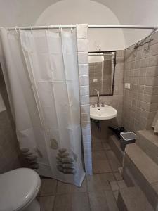y baño con ducha, aseo y lavamanos. en La Casodda en Ostuni