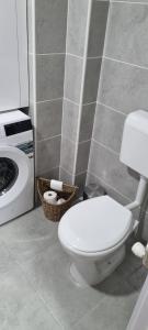Un baño con inodoro y lavadora. en Finans1, en Ruma