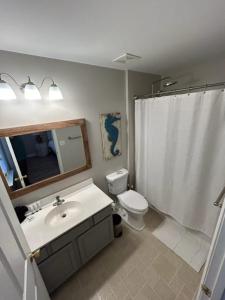 a bathroom with a sink and a toilet and a shower at Suite Carolina in Charleston