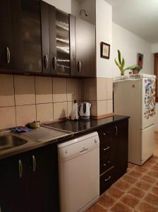 a kitchen with black cabinets and a white refrigerator at Kerkira Apartment Pale in Pale +12 photos