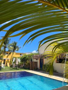 una palmera junto a una piscina en Pousada Vila Nalu, en Praia do Frances