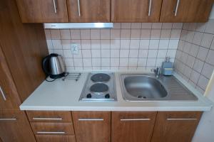 Eldhús eða eldhúskrókur á Apartamenty Sadowy