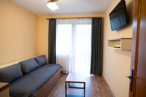 Sjónvarps- og/eða afþreyingartæki á Apartamenty Sadowy