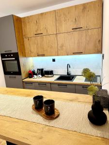 a kitchen with a sink and a counter with pots and pans at GO Jahorina by Olympic Gardens in Jahorina